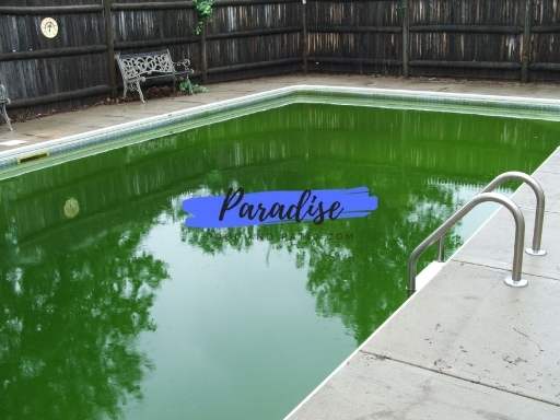 Dirty pool in Cincinnati area that was cleaned green to clean